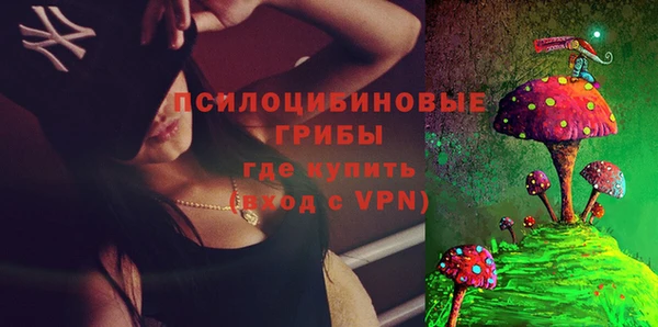 а пвп мука Рославль
